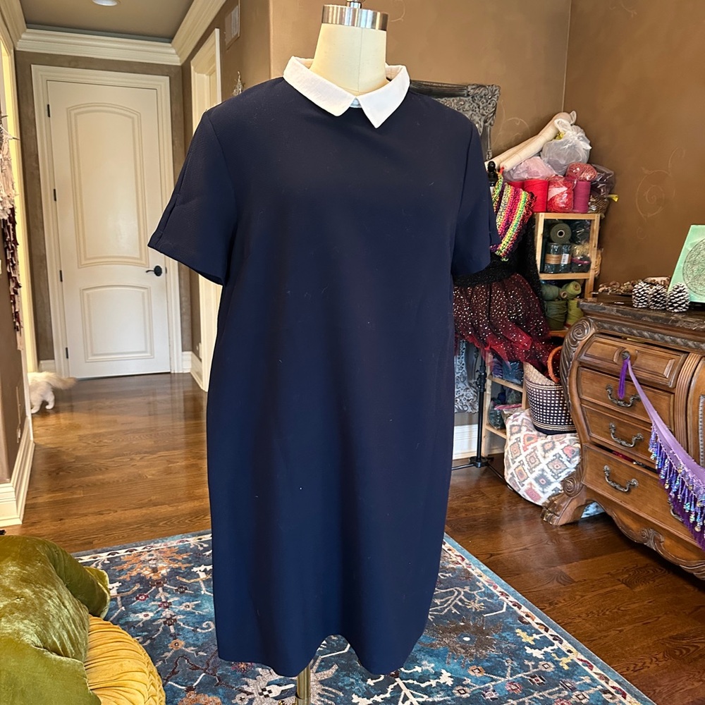 Navy Blue Collared Dress
